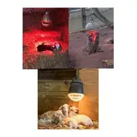 (6 Adet) 250w Kızılötesi Isıtıcılı Hayvan Isıtma Ve Kuluçka Lambası (kırmızı Işık) E27 (kalın Duy)