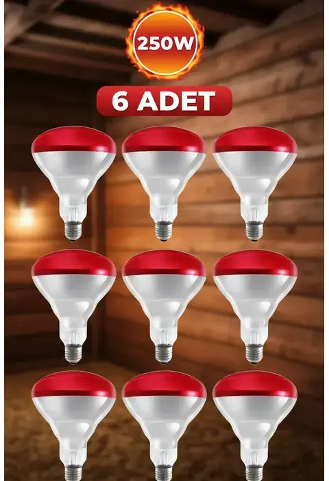 (6 Adet) 250w Kızılötesi Isıtıcılı Hayvan Isıtma Ve Kuluçka Lambası (kırmızı Işık) E27 (kalın Duy)