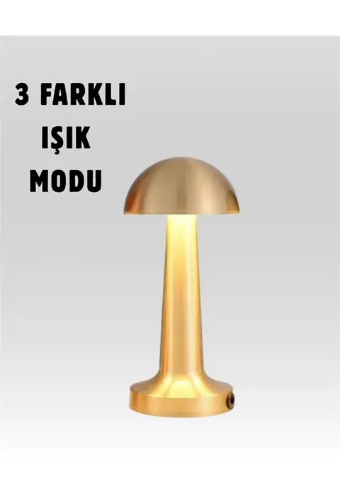 %100 Kademeli Ayarlanabilir Işık – Usb Şarjlı Masa Lambası