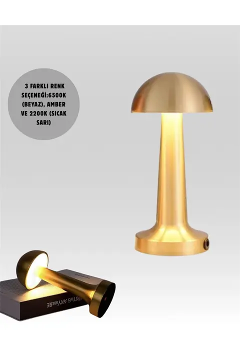 %100 Kademeli Ayarlanabilir Işık – Usb Şarjlı Masa Lambası